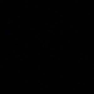 Meet your Posher, Charlee